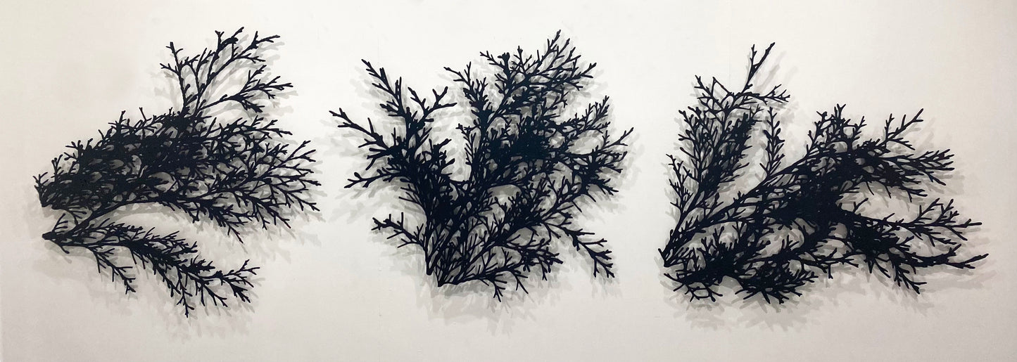 Por cielo, mar y tierra