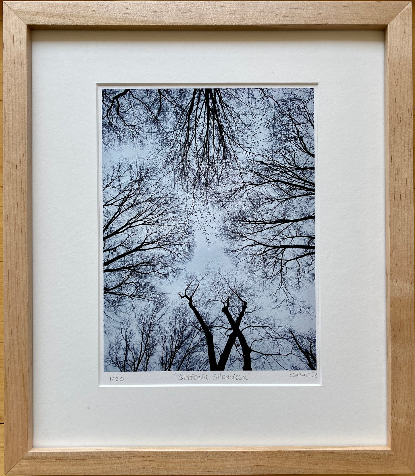 Sinfonía silenciosa