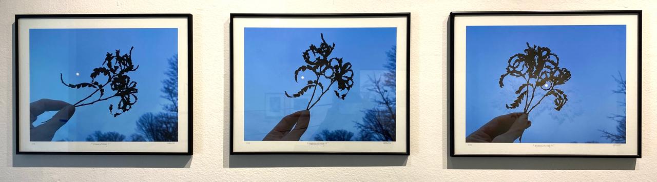 Mooncatching I, II, III