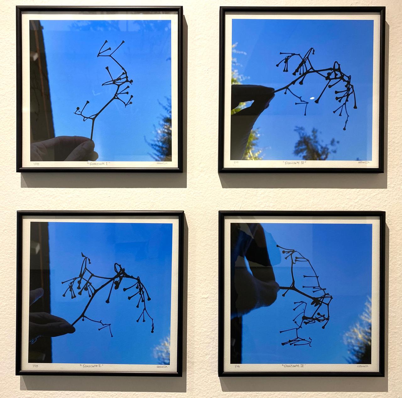 Danzante I, II, III y IV