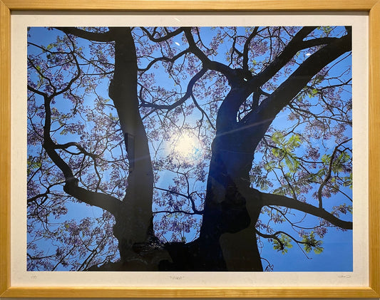 Aura